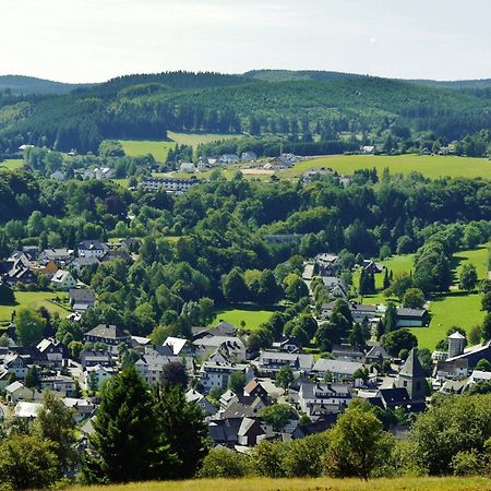 Ferienhaus Diemelquelle - Mit Eingezaeuntem Garten Вилинген Екстериор снимка